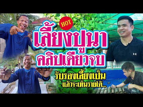 เลี้ยงปูนา คลิปเดียวจบ  รับรองเลี้ยงเป็น แล้วจะเห็นรายได้...!!!