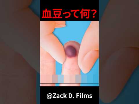 血豆って何? #shorts