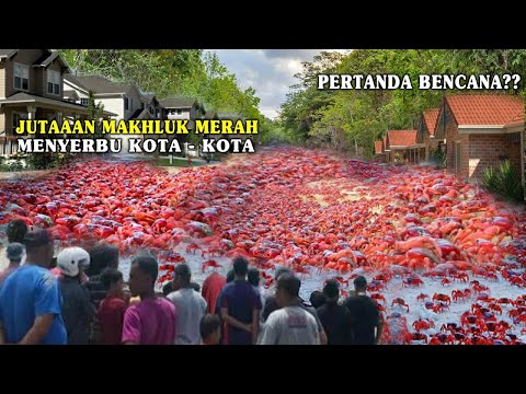 WARGA GEMPAR!! JUTAAN MAKHLUK BERWARNA MERAH MENGINVASI SELURUH KOTA!! FENOMENA LANGKA