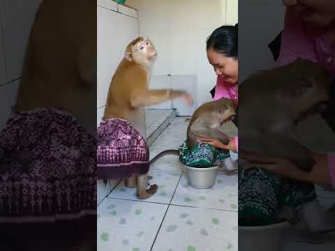Fun Yaya Happy Mom Make Clean#Shorts
