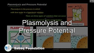 Plasmolysis and Pressure Potential