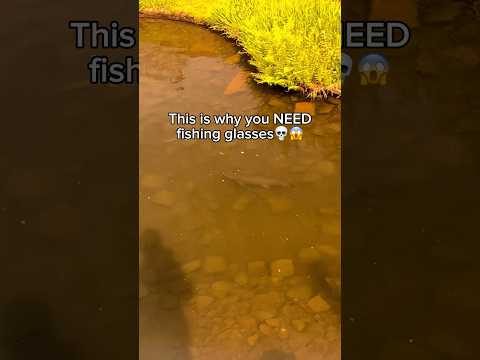 🎣Are these glasses from the future🤯 #fishing #carpfishing #bassfishing #lifehacks