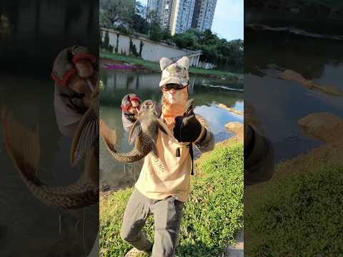 New Slingshot Fishing Reel Set is ! Free for shipping on sale. homepage have store#outdoors #fishing