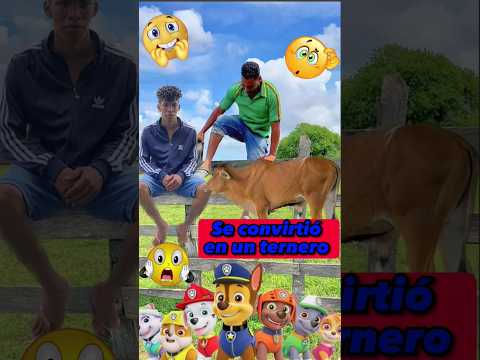 se convirtió en un ternero🐂#viralshort #comedia #viral #suscribete #viral