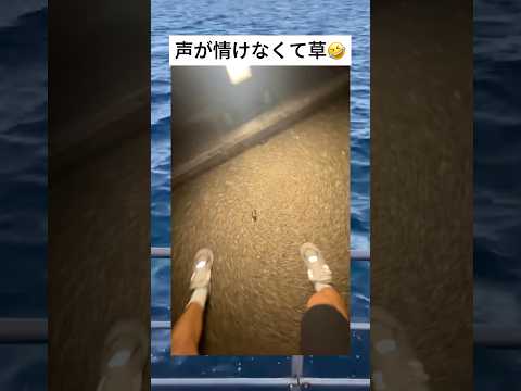 声が情けなすぎる🤣　#おもしろ #shorts #面白い #爆笑 #夏