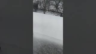 it's raining but the rain is frozen?!