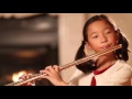 Musical Theme in Video Analysis