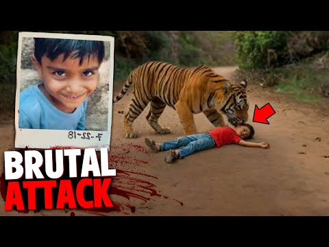 The HORRIFYING Last Minutes Kartik Suman Attacked By Tiger While Praying at Temple!