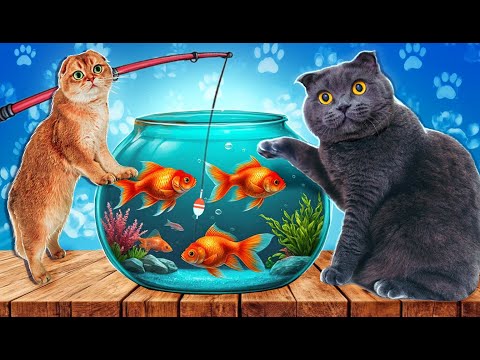 КОТЫ в ШОКЕ - ВПЕРВЫЕ УВИДЕЛИ РЫБОК | Котенок Персик УПАЛ в АКВАРИУМ с Рыбками… Новые Питомцы!