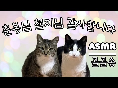 [춘봉과 첨지를 위한 골골송 ASMR 1시간]