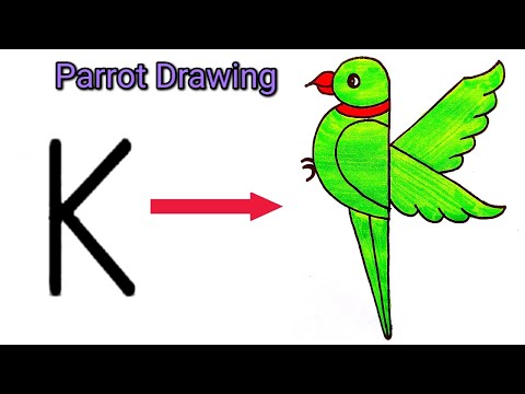 How to Draw a Colorful Parrot Using Letter K | Creative Art Trick