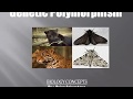 Genetic Variation and Polymorphism Concepts
