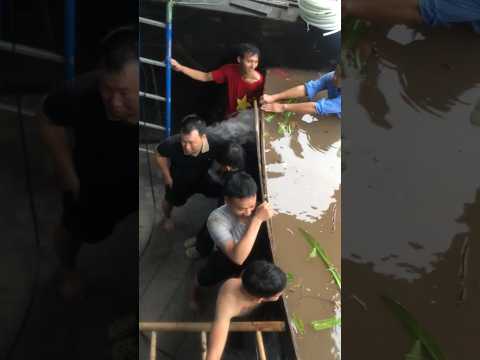 Dùng sức mình chống lại mẹ thiên nhiên