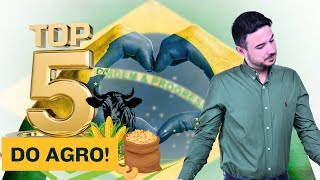 TOP 5 estados AGRO do BRASIL!