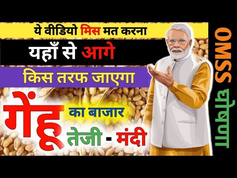 2025 में गेहूं की कीमतें कहां जाएंगी | OMSS स्कीम और स्टॉक लिमिट का असर | किसानों के लिए बड़ा अलर्ट