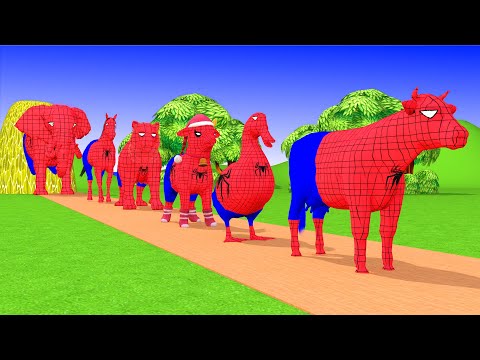 Paint & Animals Spider Duck,Cow,Gorilla,Lion,chicken,Elephant Fountain Crossing Turtle Cartoon Games