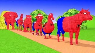 Paint & Animals Spider Duck,Cow,Gorilla,Lion,chicken,Elephant Fountain Crossing Turtle Cartoon Games