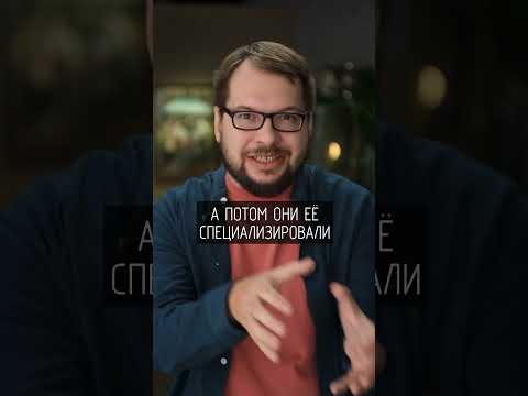 Потомство… от двух отцов?