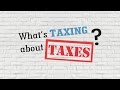 Exploring Fairness in Taxation