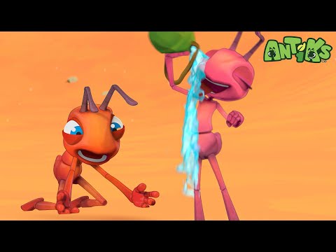 Joey and Boo Get Lost! A Silly Desert Adventure 🐪💦+60 Minutes of Antiks by Oddbods | Kids Cartoons