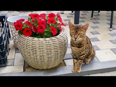 Мы в ШОКЕ 😨 у Синди ГЛИ..🐛 сты ! Наша реакция на ее жизнь на улице !