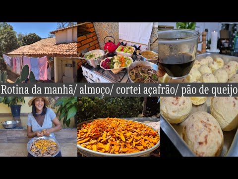 Dois dias da minha rotina ♡ a melhor receita de pão de queijo | cortando o açafrão | almoço do dia