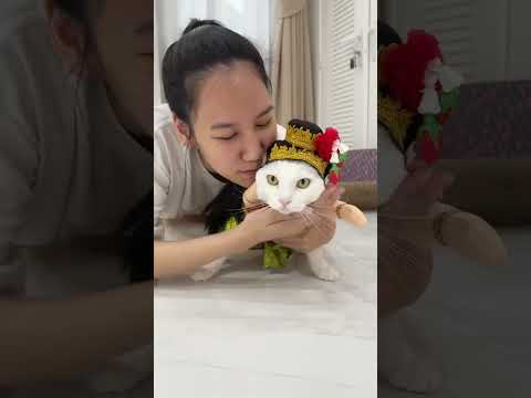 ครอบครัวไข่หวานเตรียมตัวฮาโลวีนน!!!