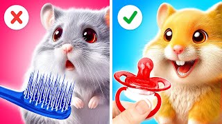 Artesanías Lindo & Divertidas para Mascotas 🐕🐈 Ingeniosos Trucos de Bricolaje