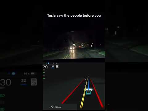 Don't lie, Tesla saw the humans before you๐โ๐จ