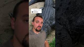 Alligator Attacks in Louisiana