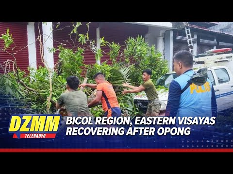 Several provinces in Bicol, Eastern Visayas regions now quickly recovering from Opong