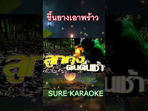 ฟังเพลงเพราะ