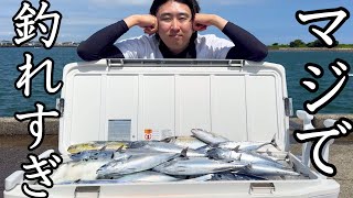 あの海域。やっぱヤバすぎます。