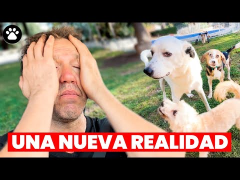 Reparando El Refugio Tras Las Inundaciones en Valencia