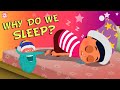The Science of Sleep