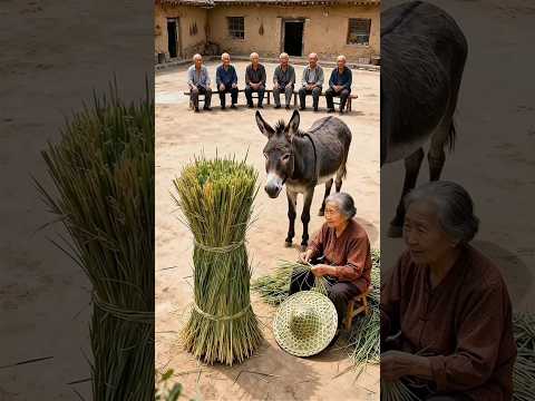 गधे ने घास से टोपी बना दी 🤯#Catsoftiktok #CatLovers #cat #cute #FunnyCats#catcartoon #fyp