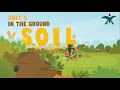 Understanding Soil Properties and Textures