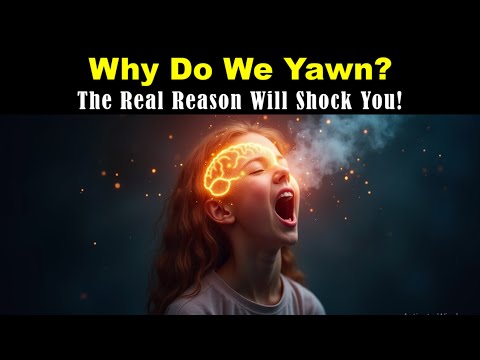 Why Do We Yawn and Why is Yawning Contagious