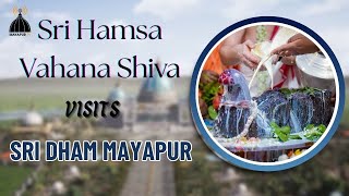 Sri Hamsa-vahana Shiva Visits ISKCON Mayapur || 2025 ||