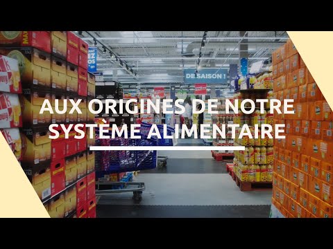 Comment en est-on arrivé là ? | Alimentation, on change tout ? | Ep.1