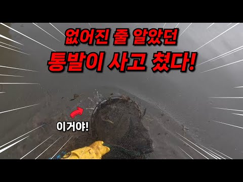 장마로 없어진 줄 알았던 통발이 보여서 봤더니 고기가 바글바글하네요!