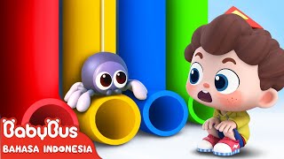 Aduh! Aku Takut Laba-laba | Lagu Lucu | Lagu Anak-anak | Ayo ! Neo 🌟| BabyBus Bahasa Indonesia