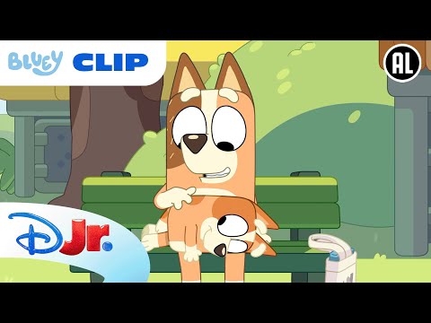 🐶 Dieren | Bluey | Disney Junior BE