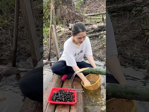 part. lanjutan aktifitas di ladang sebelumnya