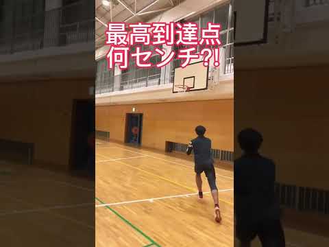 最高到達点の測定法 #shorts #バレーボール #volleyball