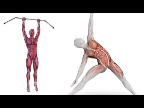 How to Increase Height In 1 Week With 4 Simple Exercises – Increase Height Faster
