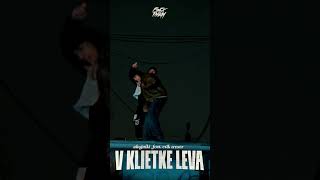 V klietke leva by Ahojniki x Erik Tresor
