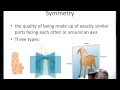 Animal Symmetry in Evolution