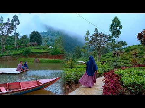 Piknik ke perkebunan teh dan danau | tadabur alam | masak untuk bekal