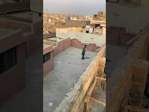 Kite phar di🥺 #kite #basant #shorts #trending #ytshorts